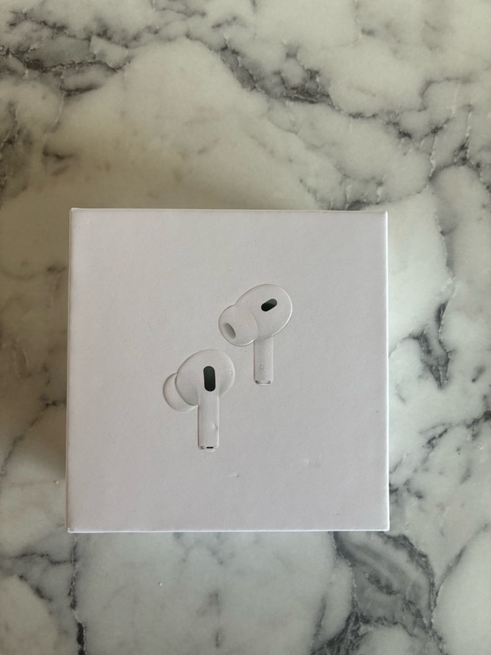 Apple AirPods Pro (2nd Gen) White Charging Case